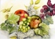 41  Rosemary Hubbard Fruit  Watercolour
